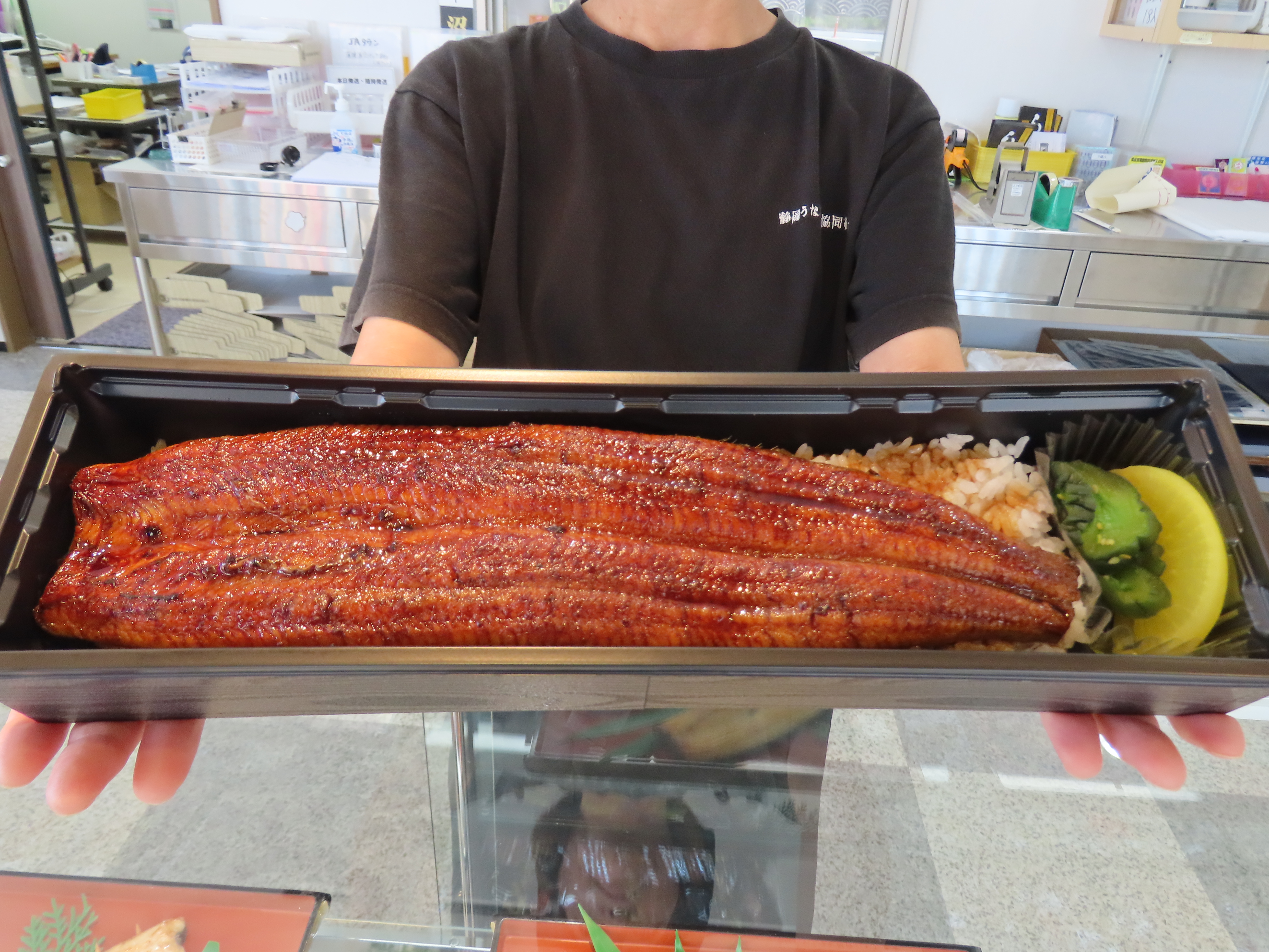 飼育物（ペット）　吉野川産　天然うなぎ　ウナギ　４１３ｇ 1655272_00_1762933275.jpg