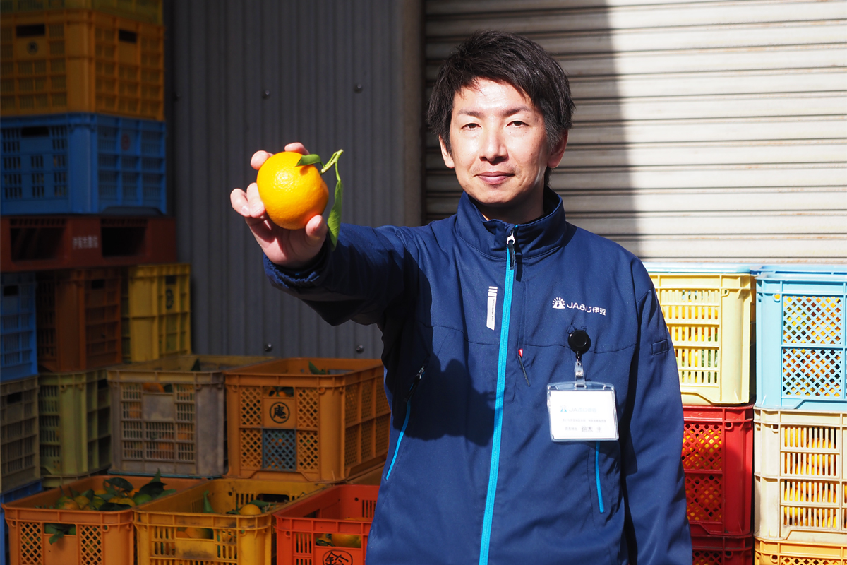 代々続く」を受け継いで 熱海・伊東地区の橙（だいだい）が紡ぐ