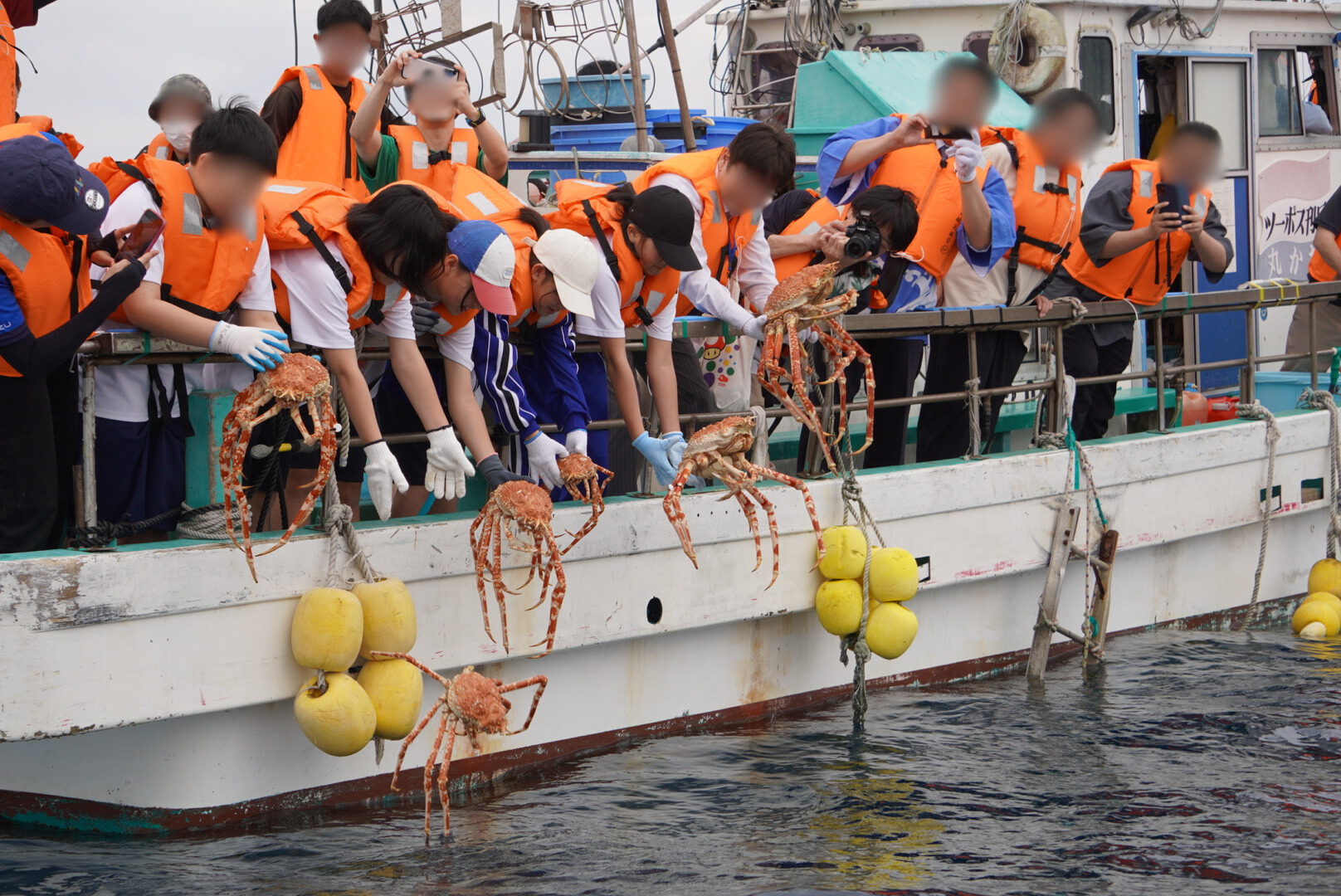 深海が育てたごちそうを味わう― 沼津市戸田のタカアシガニ ―｜【静岡県