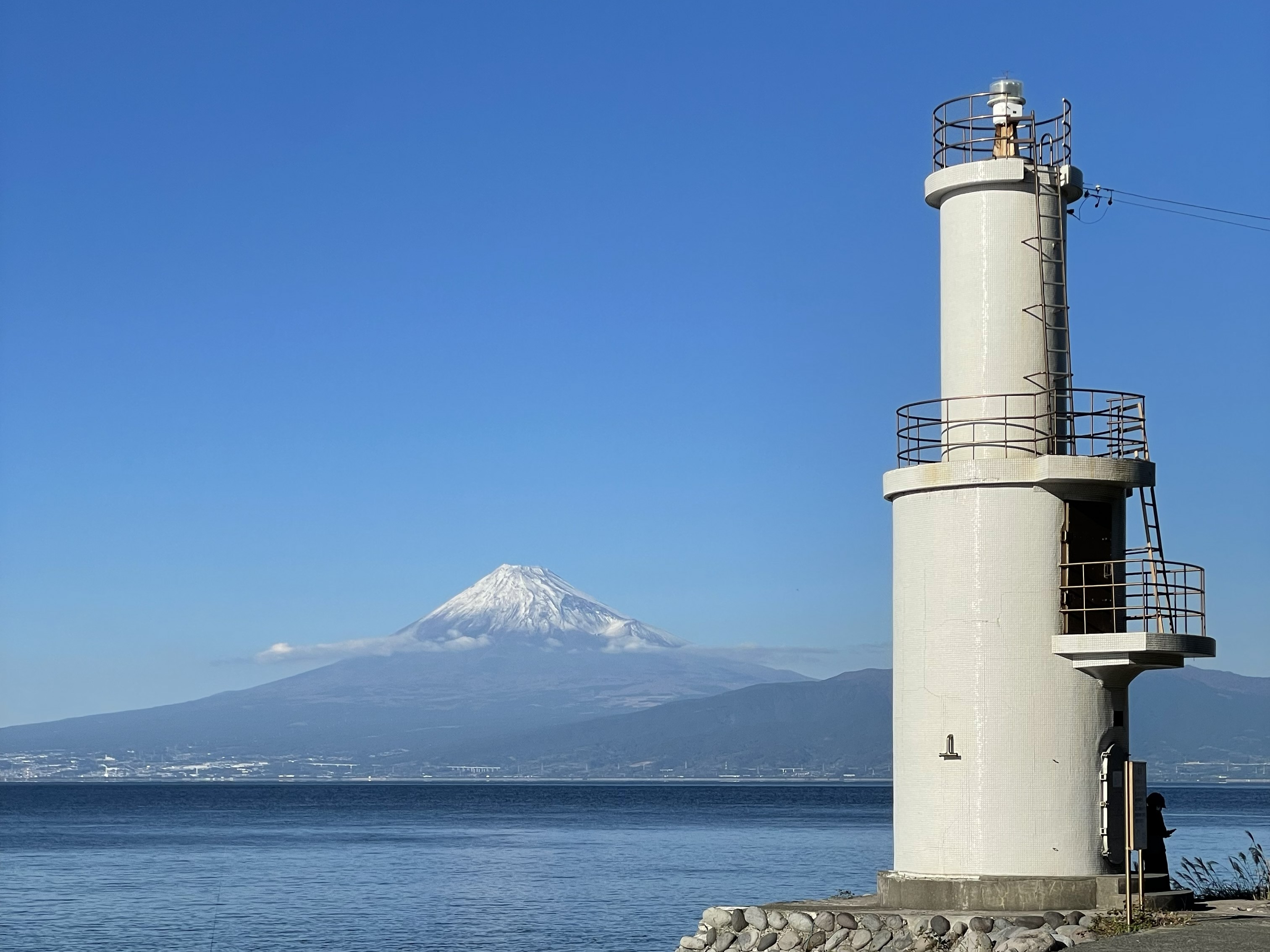 沼津市戸田 深海魚がつなぐ海と暮らしの食文化｜【静岡県公式