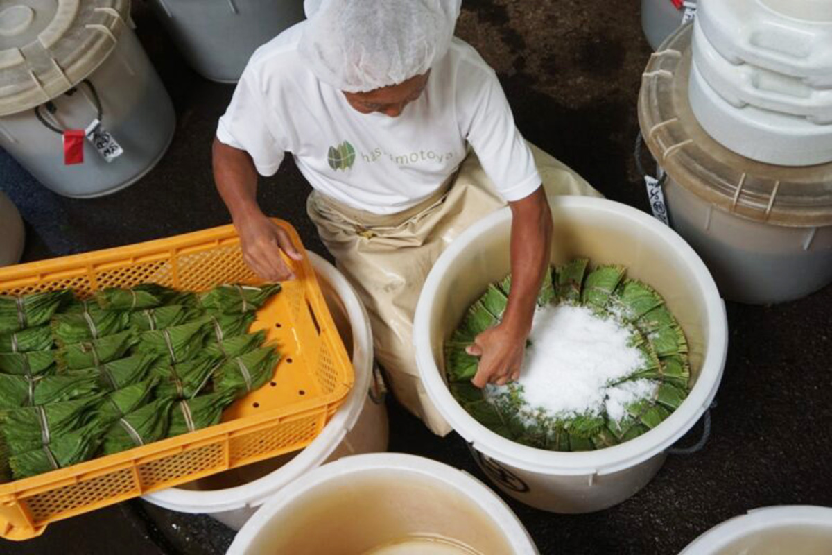写真：（一社）美しい伊豆創造センター
